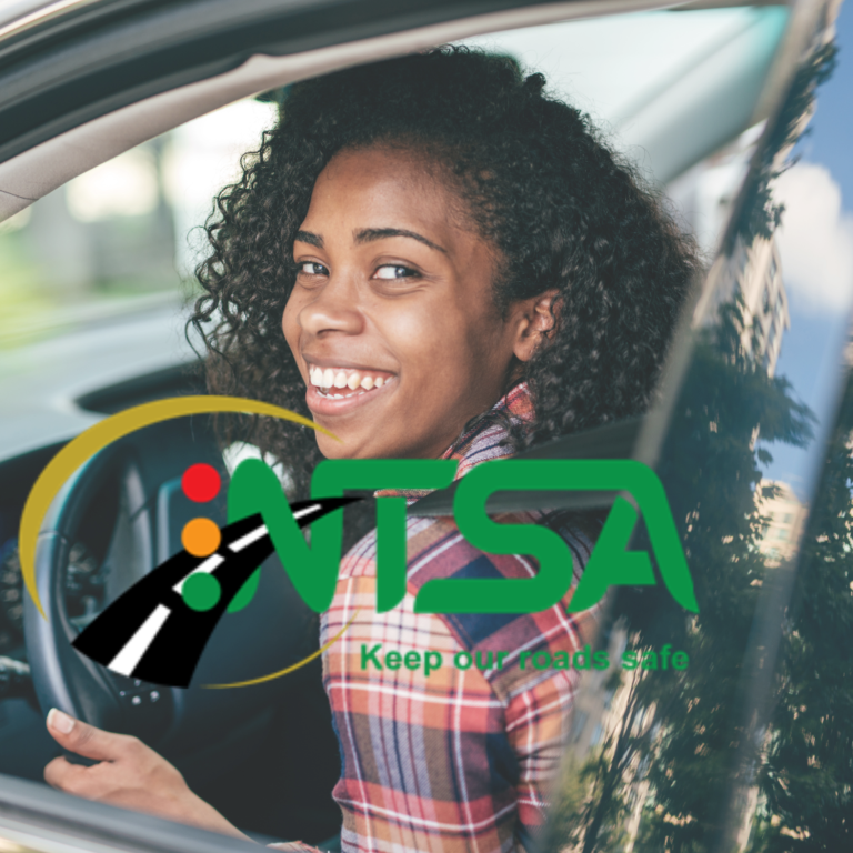 Read more about the article How to Obtain Interim Driver License