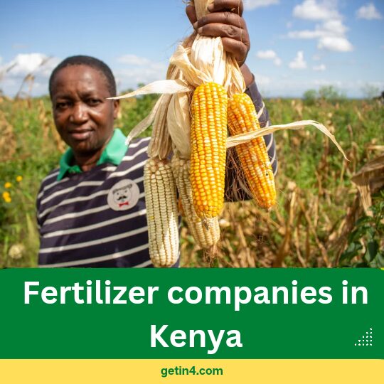 You are currently viewing FERTILIZER COMPANIES IN KENYA