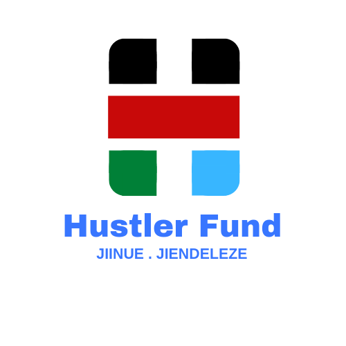 You are currently viewing How to Apply for Hustler Fund